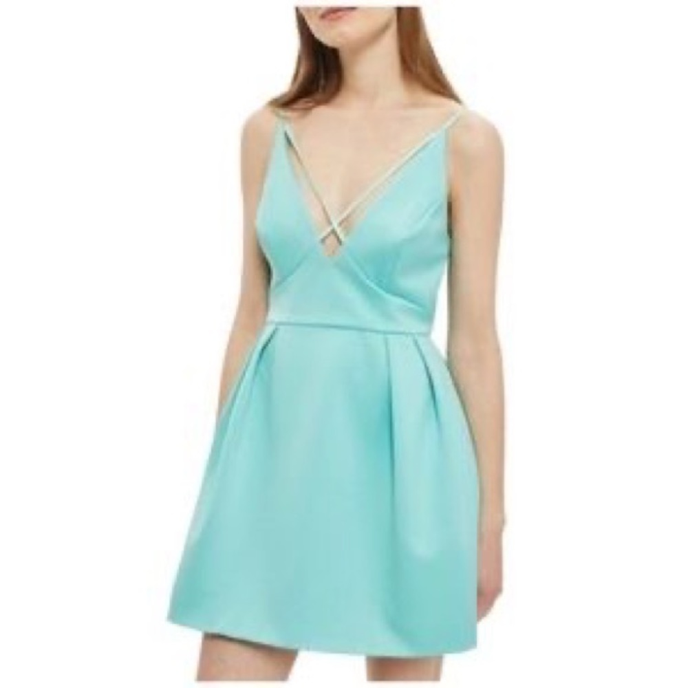 NWT topshop dress